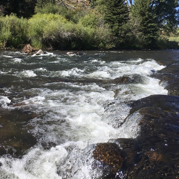 Meet your Posher, Anna - Picture 1 of 4